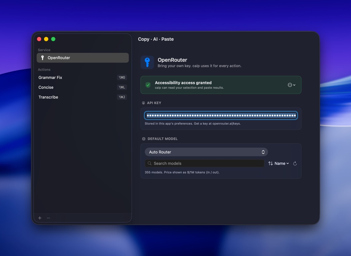 caip OpenRouter pane: API key, default model, actions sidebar